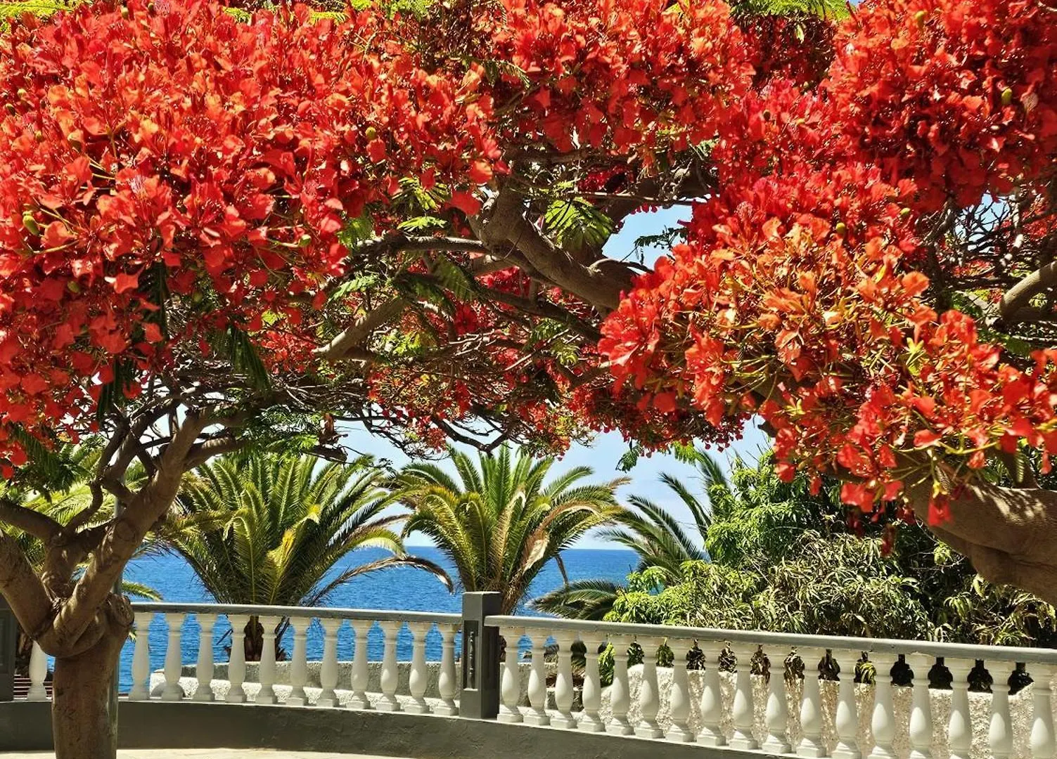 شقة Villa Romantica Ocean Retreat Alcalá la Real